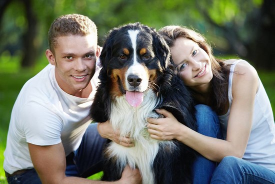 Dog Obedience Training in Ladue: Building a Well-Behaved Companion